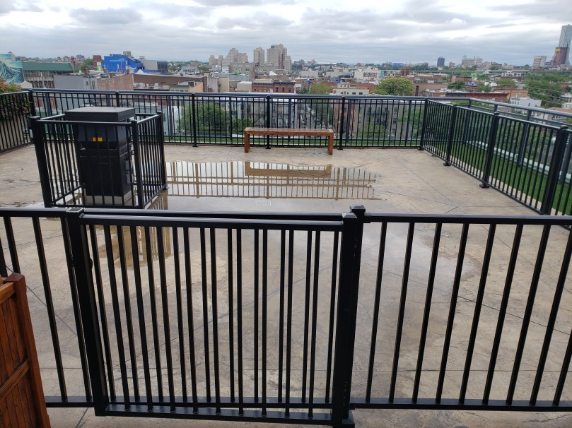 dog_run_drainage_issue_morgan_provost